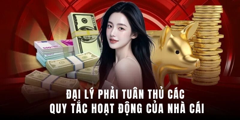 Đại lý phải tuân thủ các quy tắc hoạt động của nhà cái